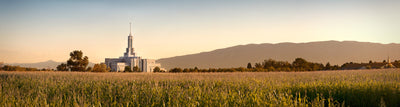 Mount Timpanogos Utah Temple Pictures & Art
