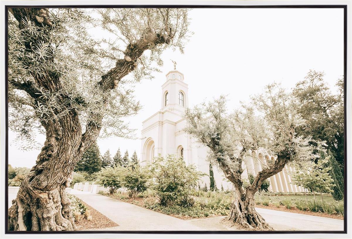 Feather River California Serenity Gallery Wrap