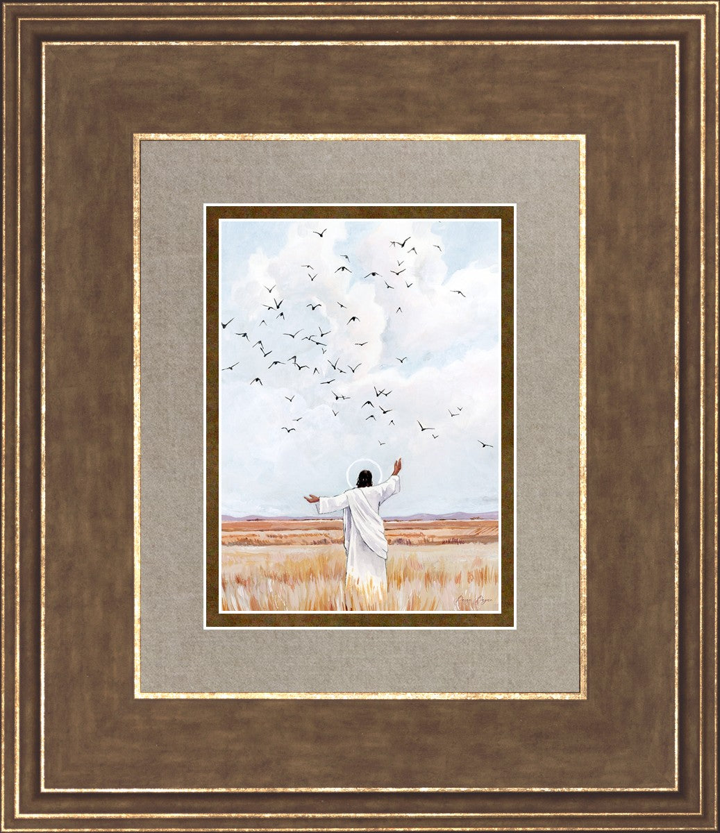 Consider The Birds in The Sky