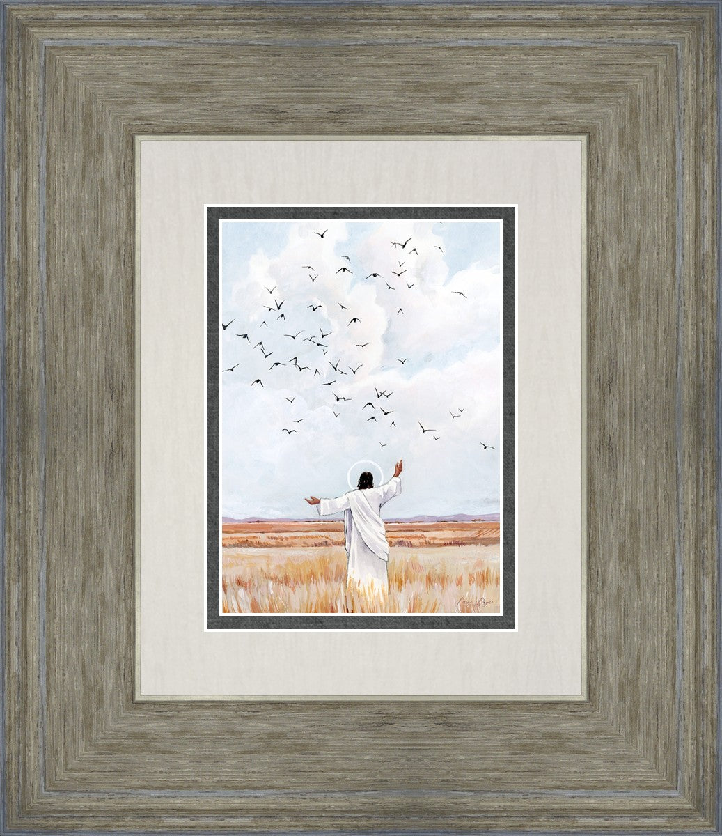 Consider The Birds in The Sky