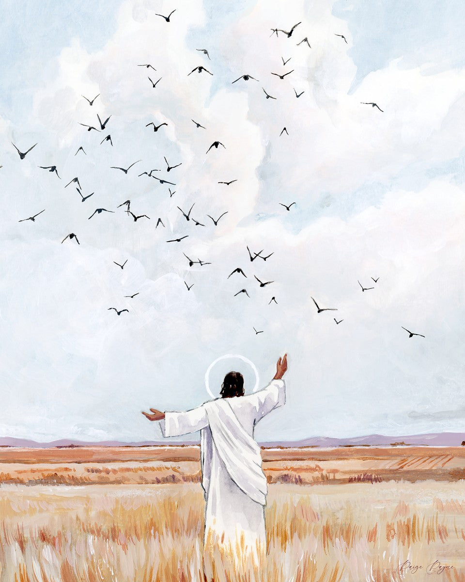 Consider The Birds in The Sky