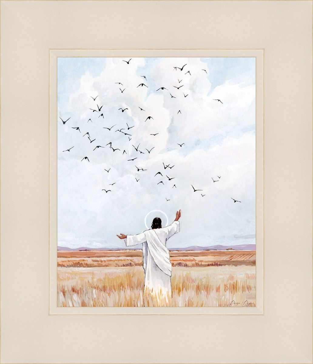 Consider The Birds in The Sky