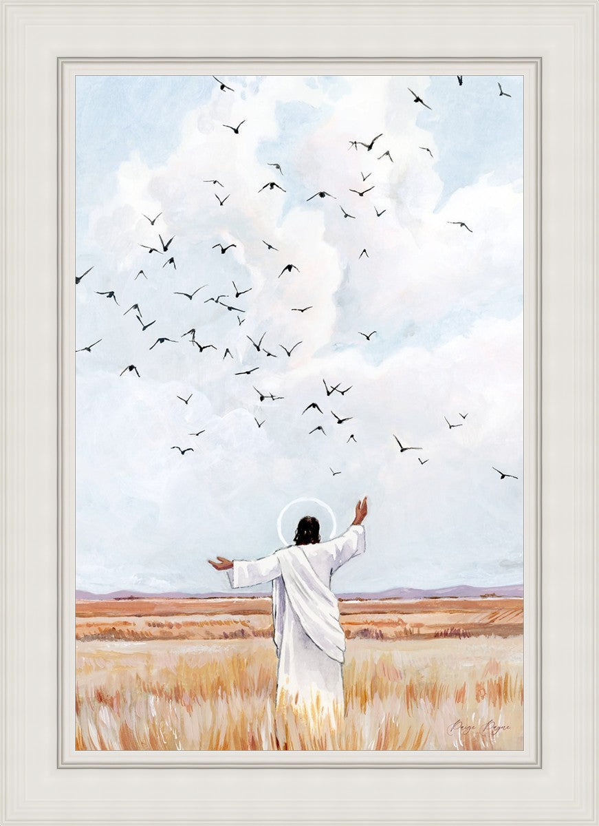 Consider The Birds in The Sky
