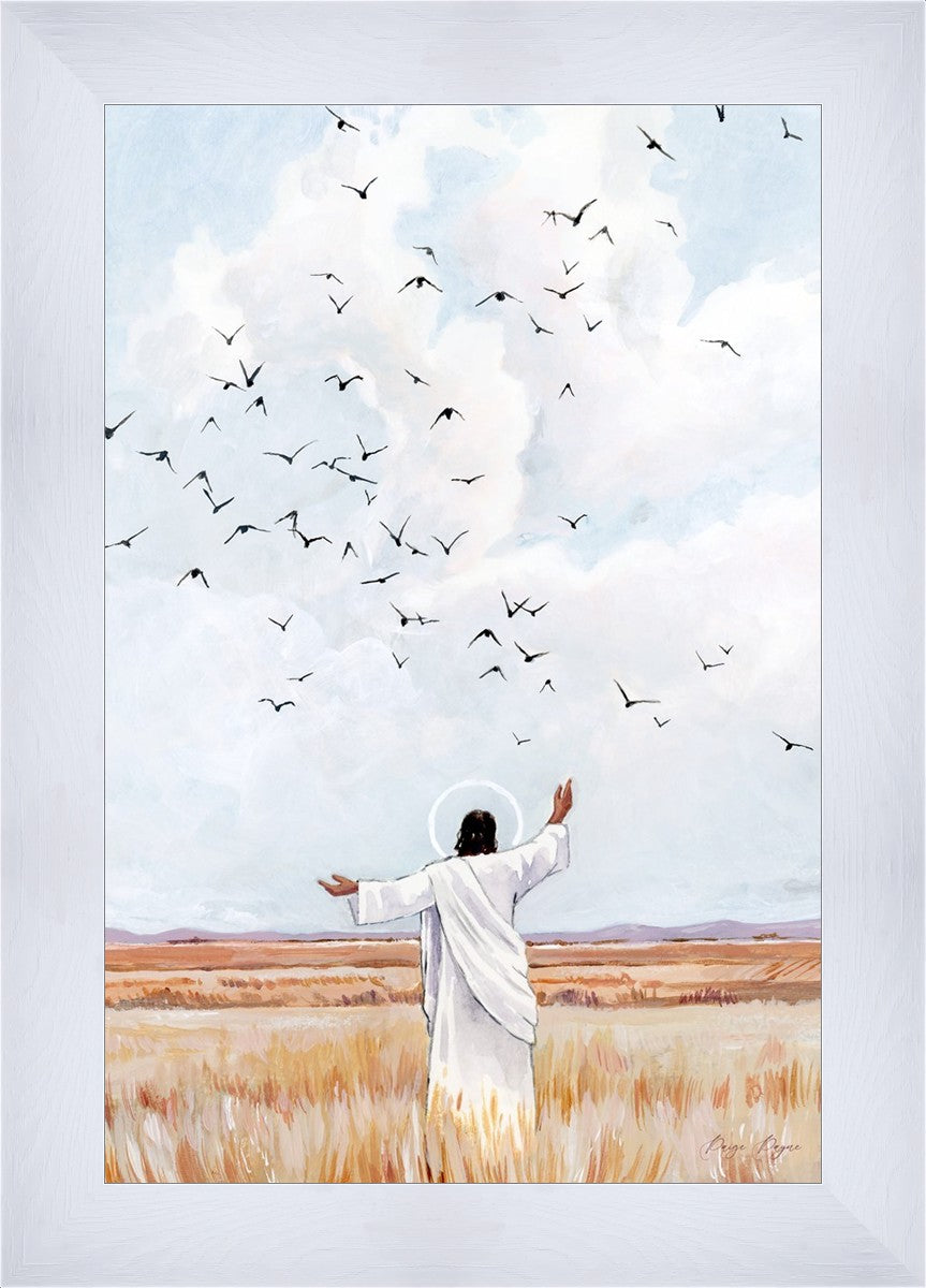 Consider The Birds in The Sky