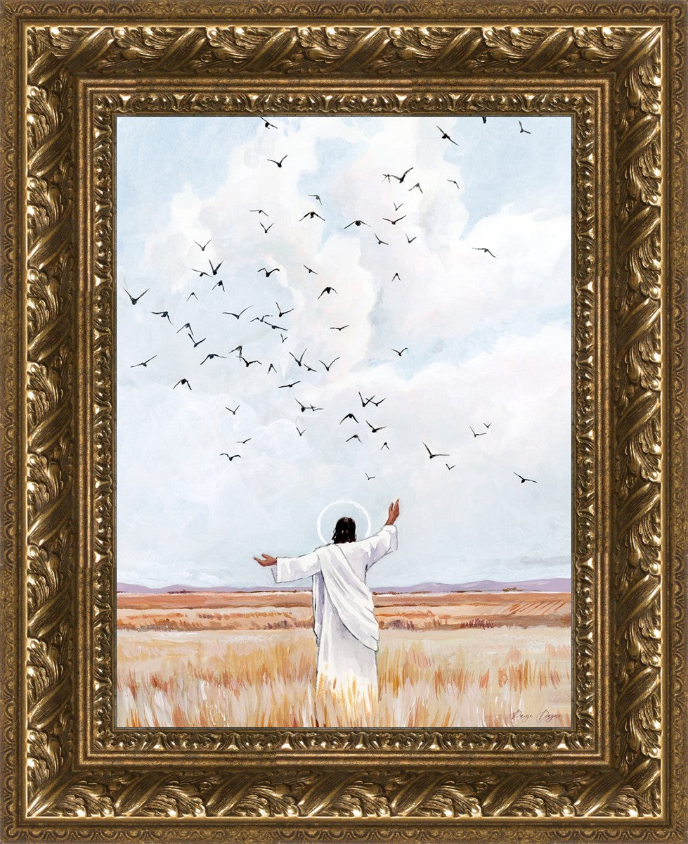 Consider The Birds in The Sky