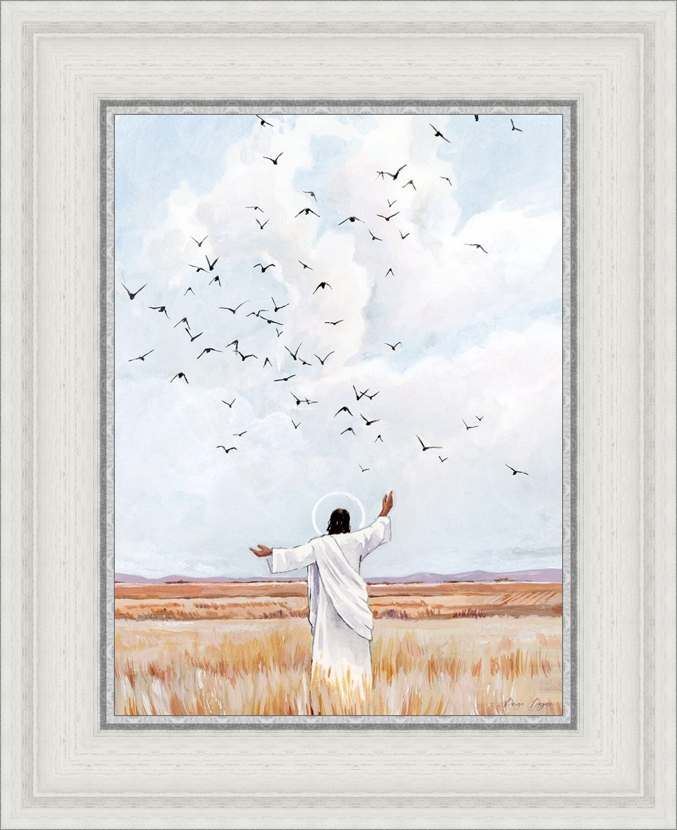 Consider The Birds in The Sky