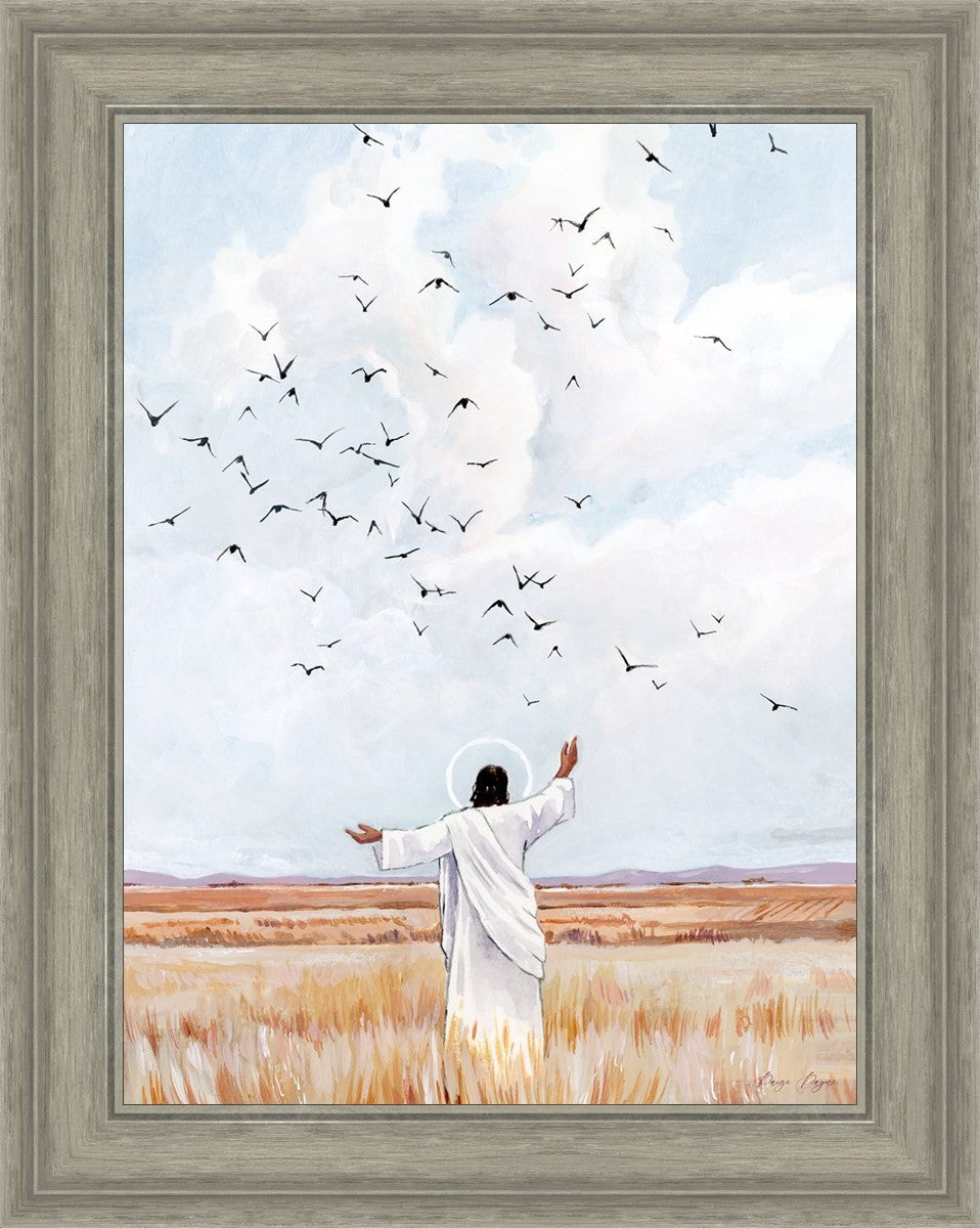 Consider The Birds in The Sky