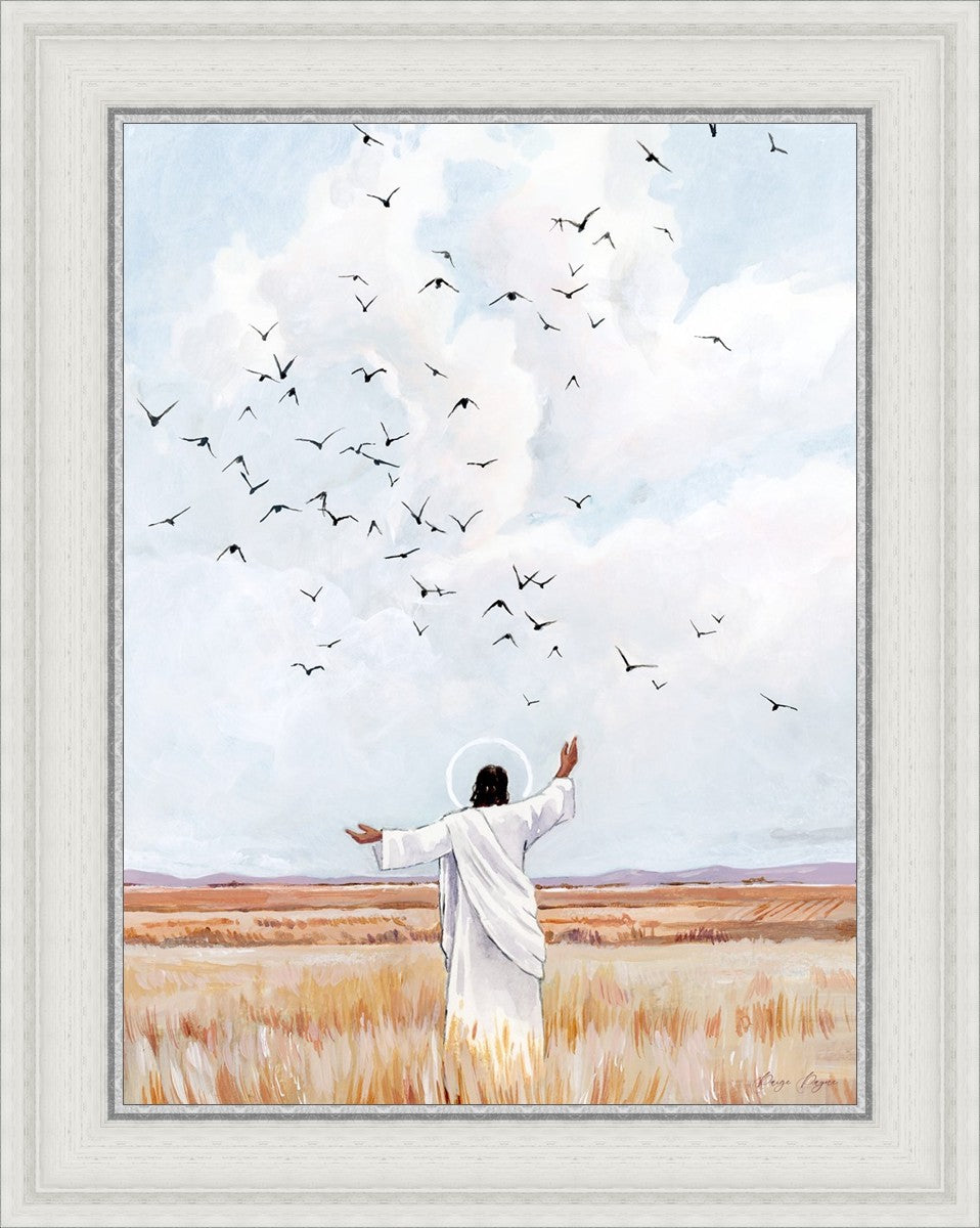 Consider The Birds in The Sky