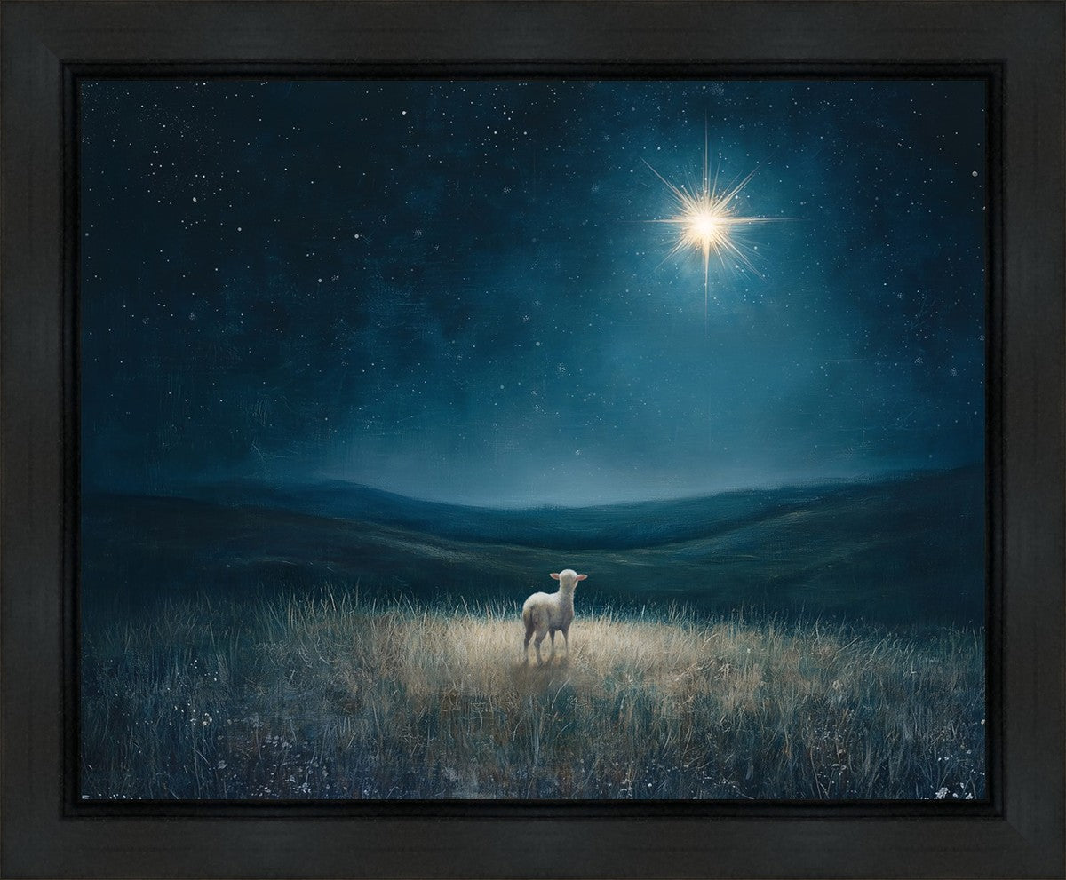 Star of Bethlehem Gallery Wrap