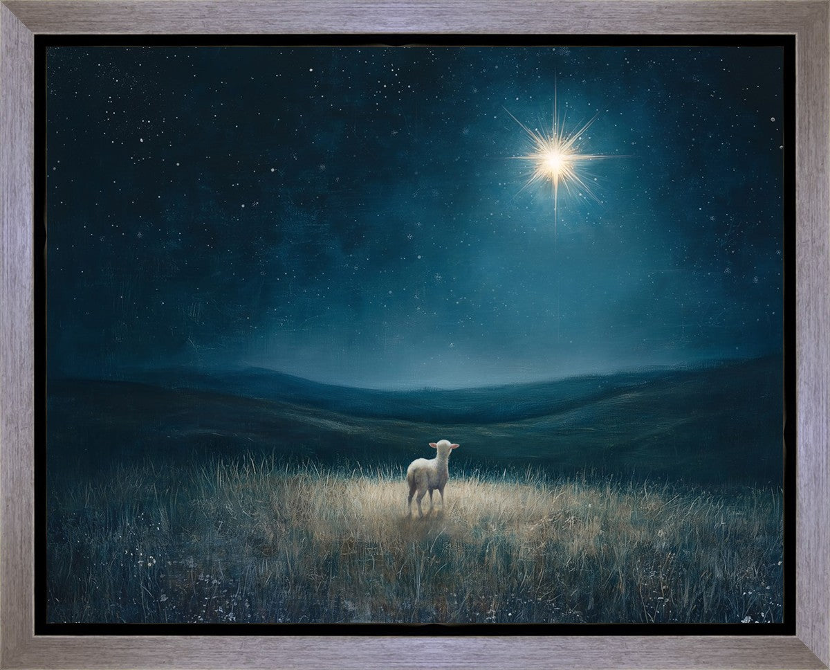Star of Bethlehem Gallery Wrap