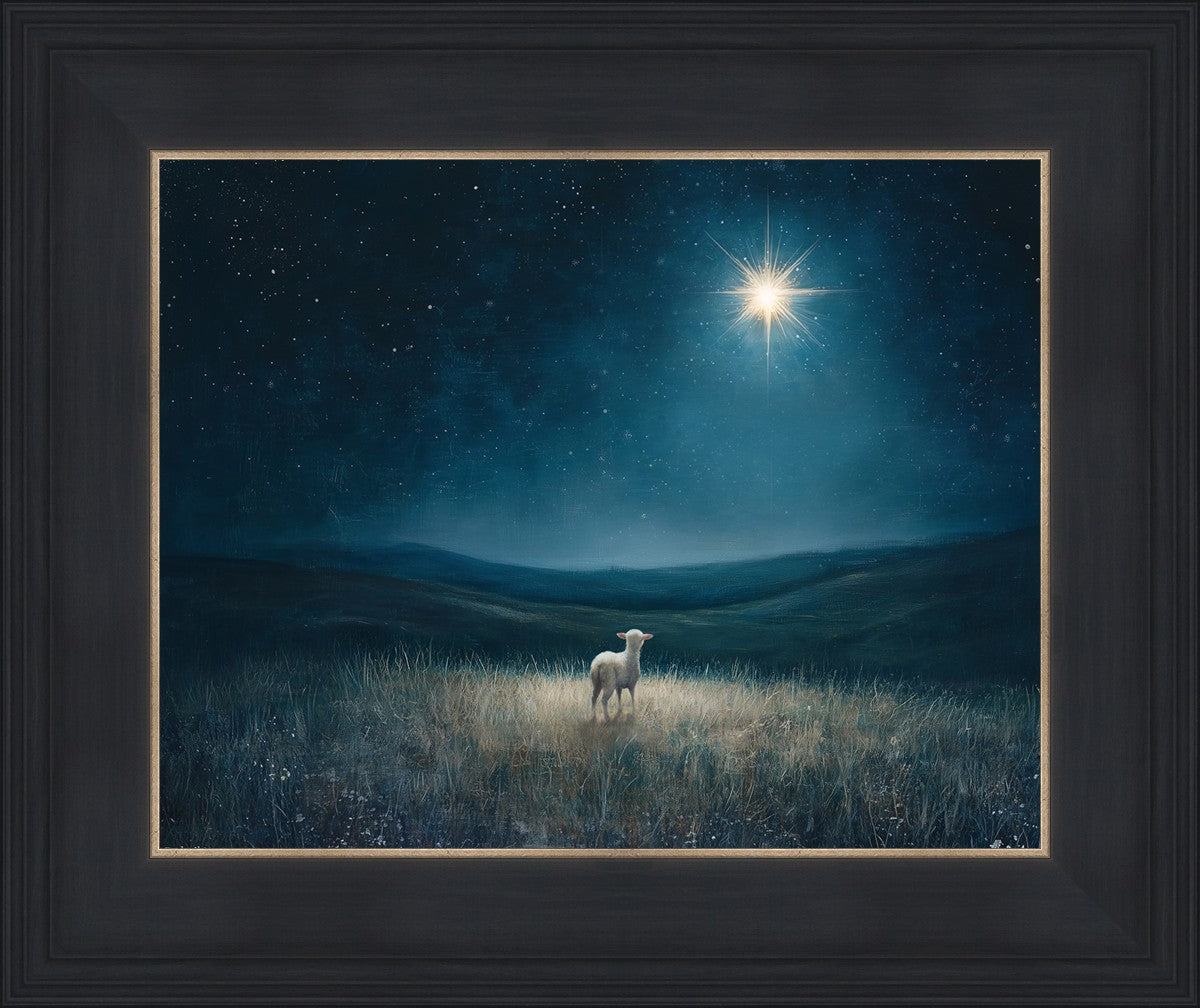 Star of Bethlehem