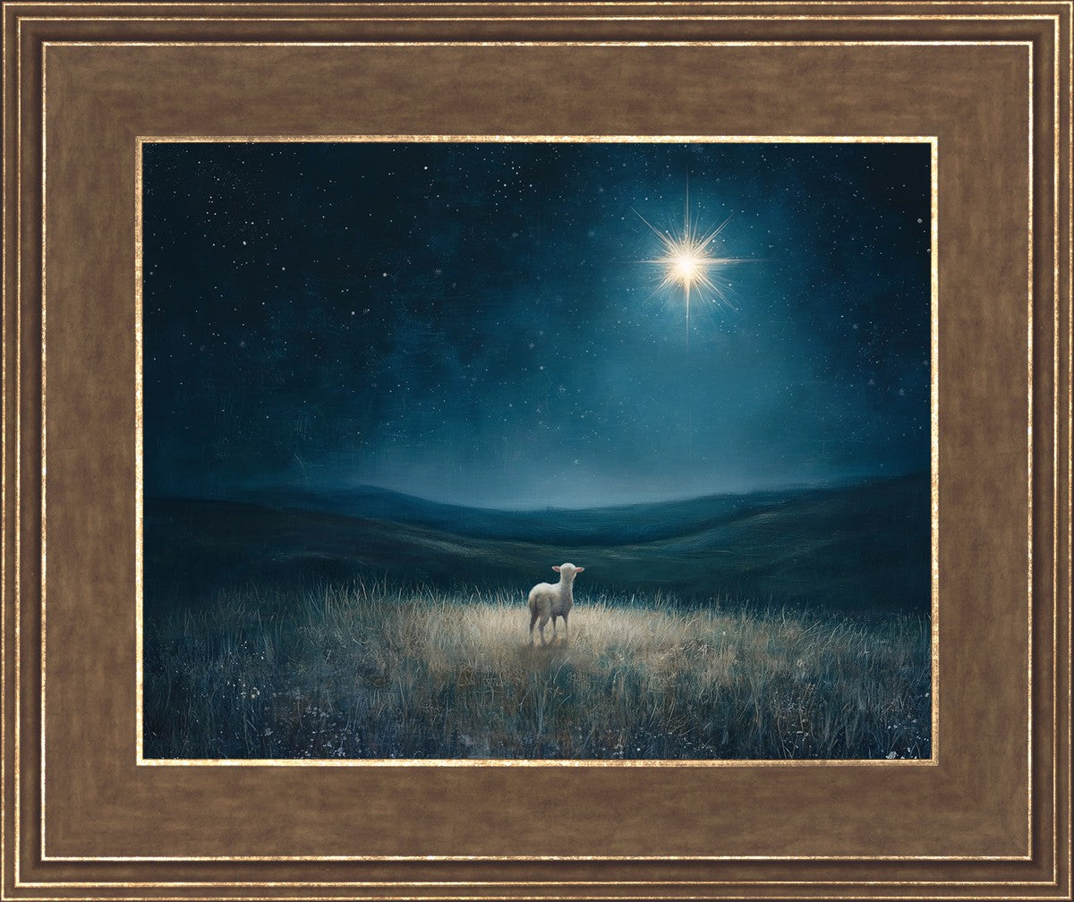 Star of Bethlehem