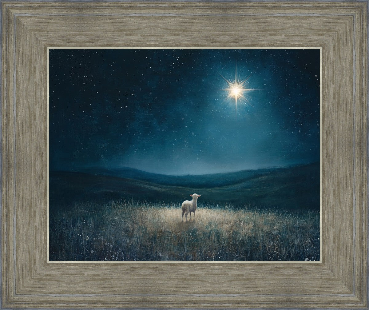 Star of Bethlehem