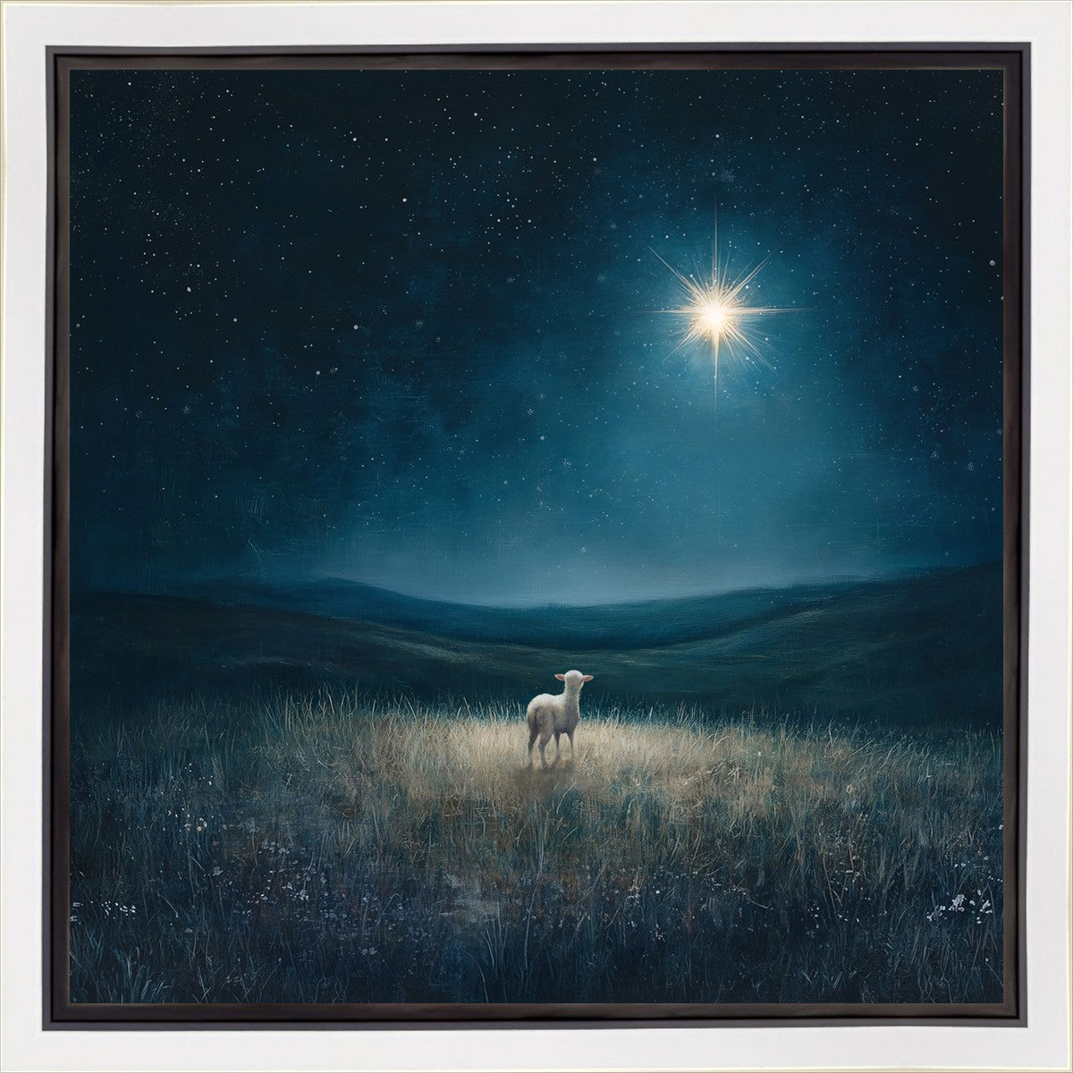 Star of Bethlehem Gallery Wrap
