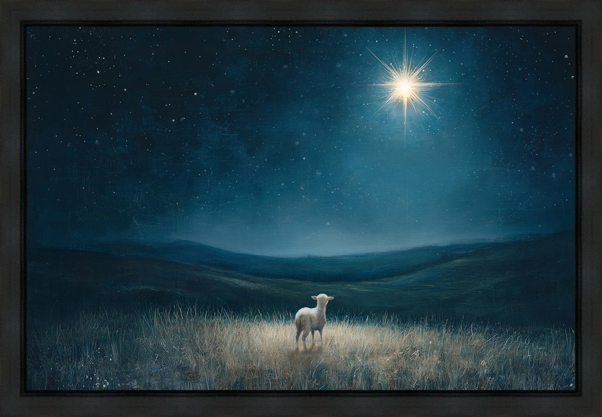 Star of Bethlehem Gallery Wrap