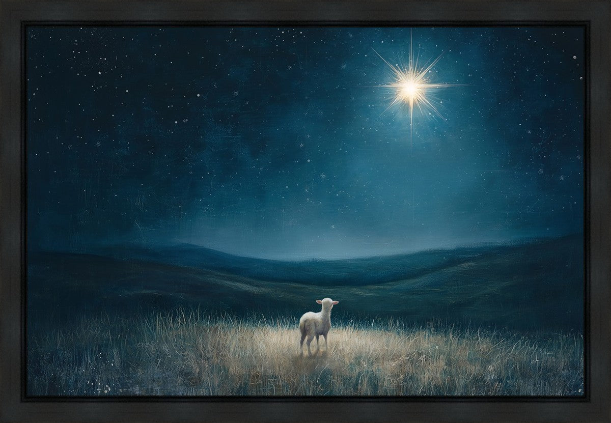 Star of Bethlehem