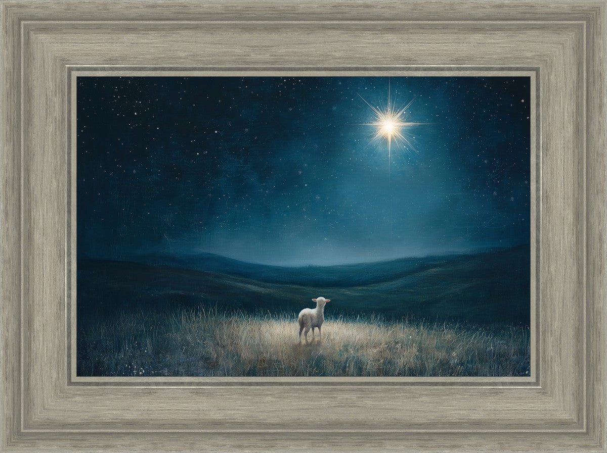 Star of Bethlehem