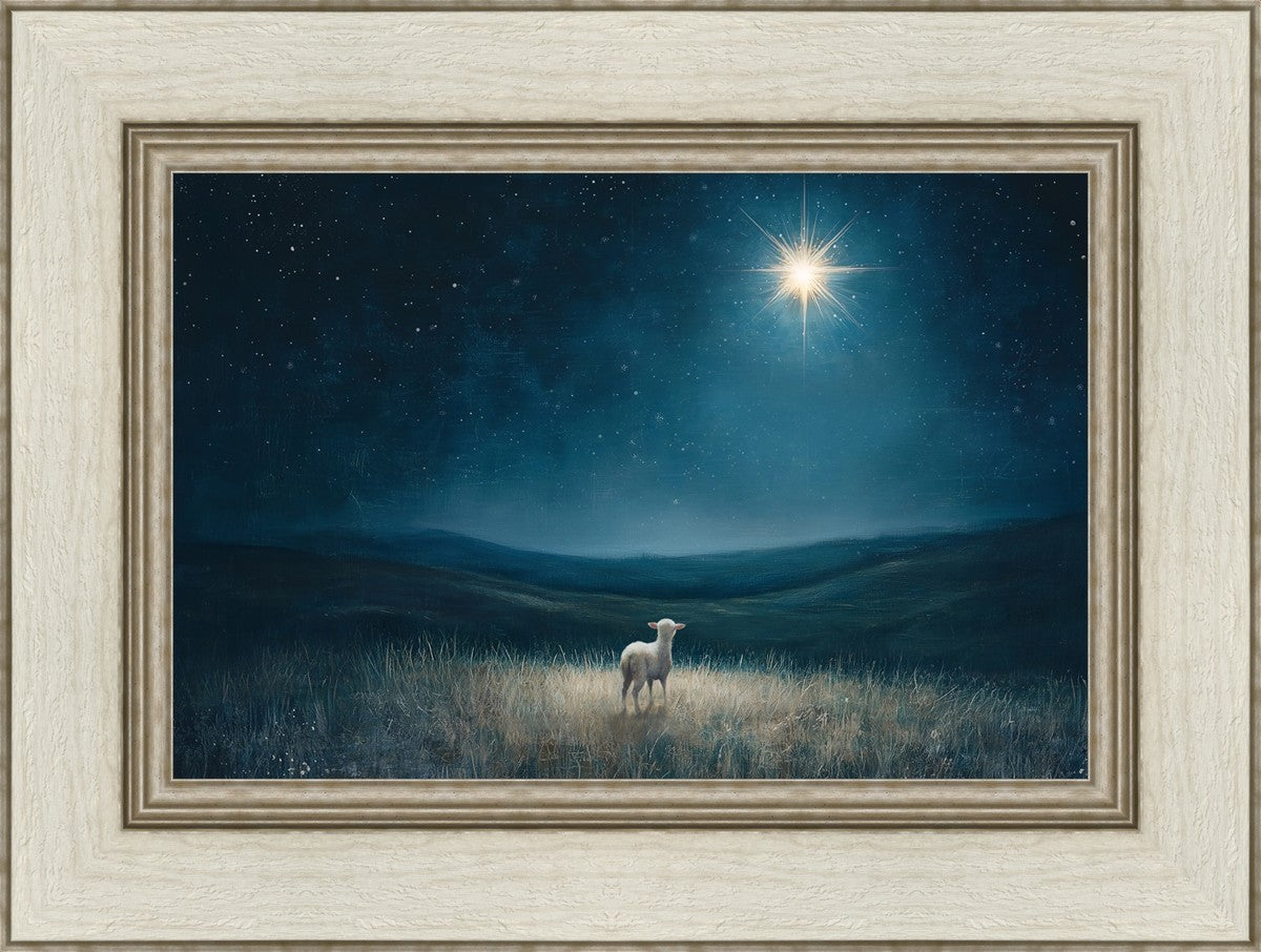 Star of Bethlehem