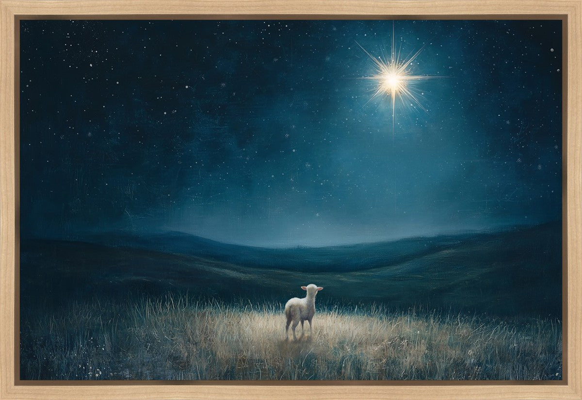 Star of Bethlehem Gallery Wrap