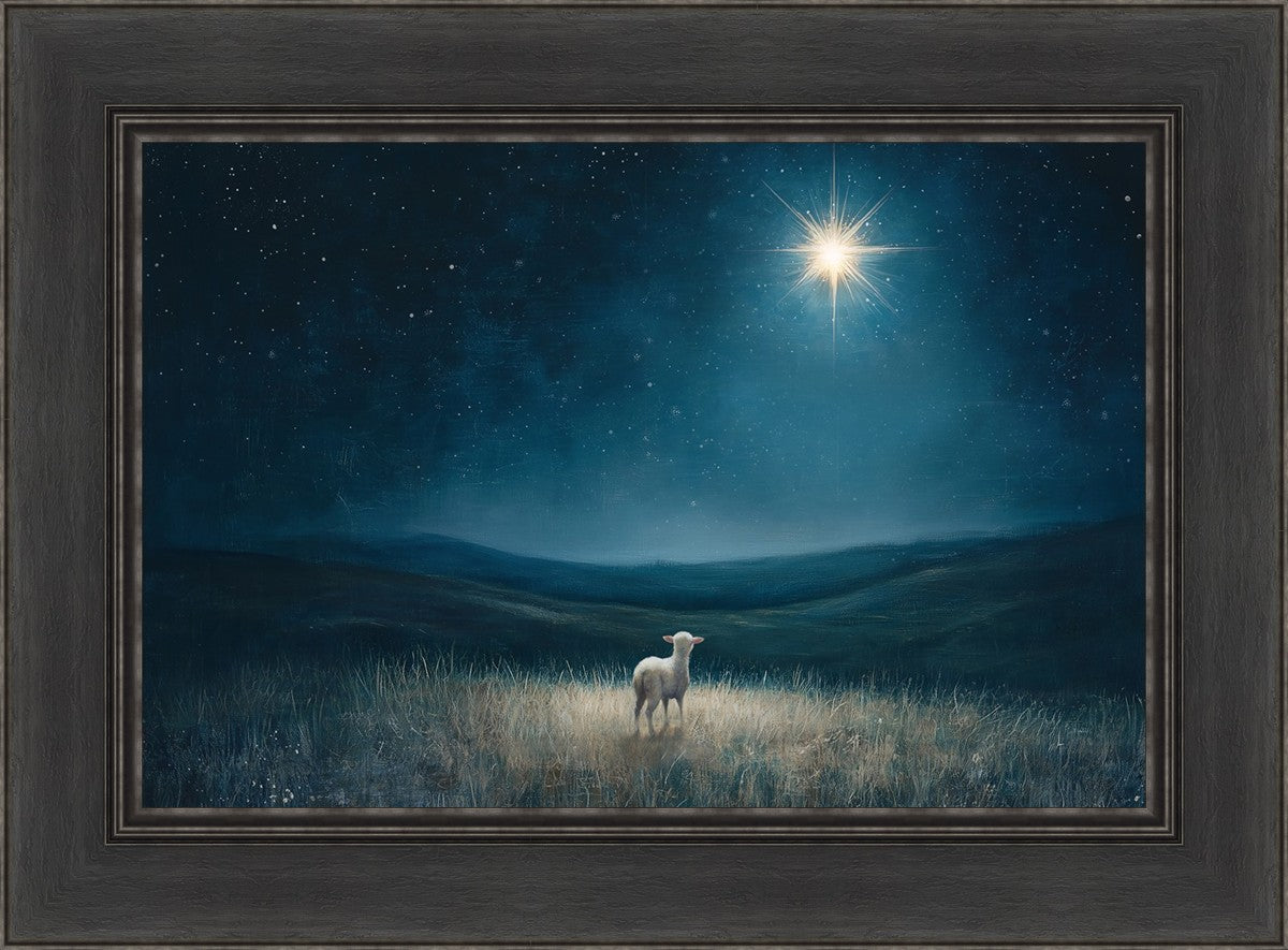Star of Bethlehem
