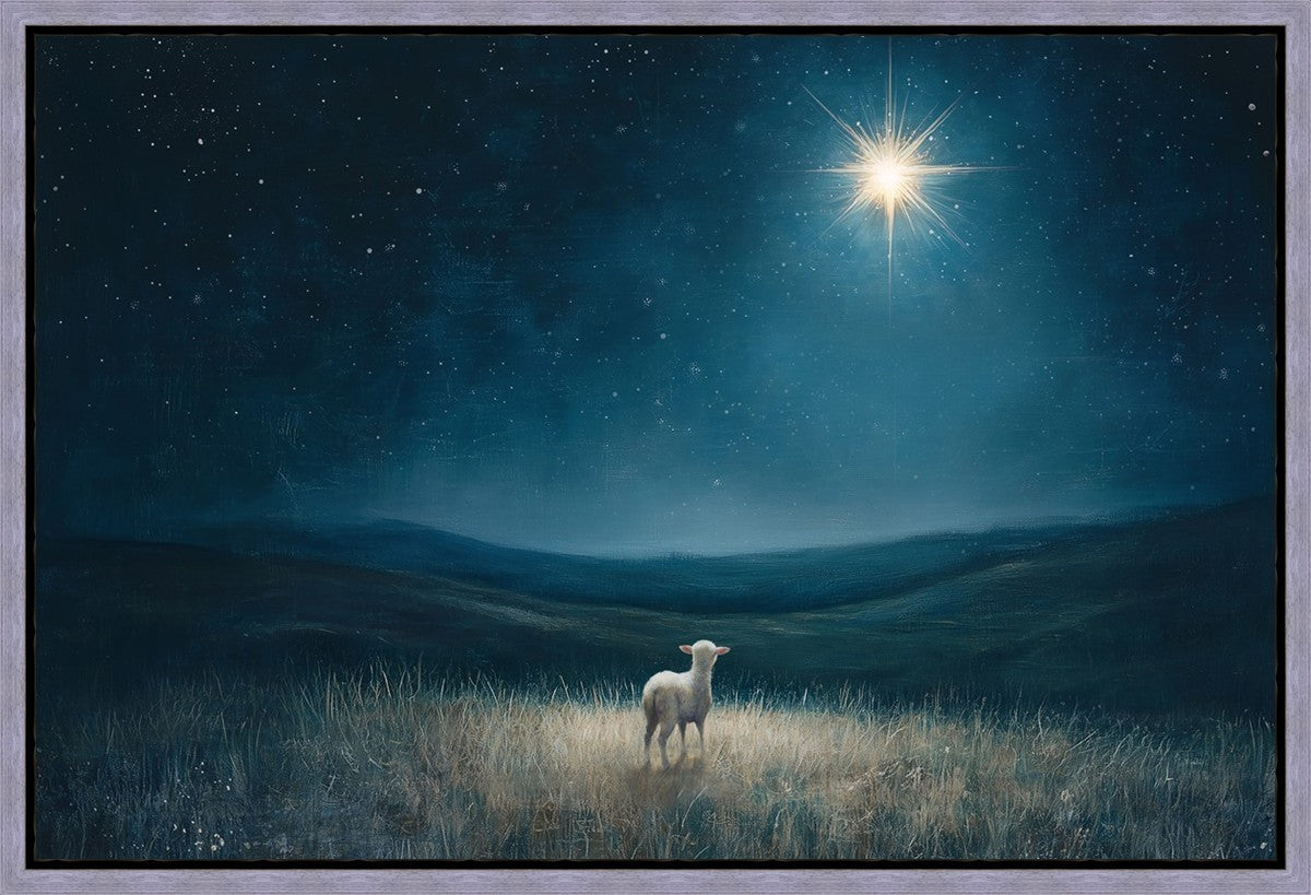 Star of Bethlehem