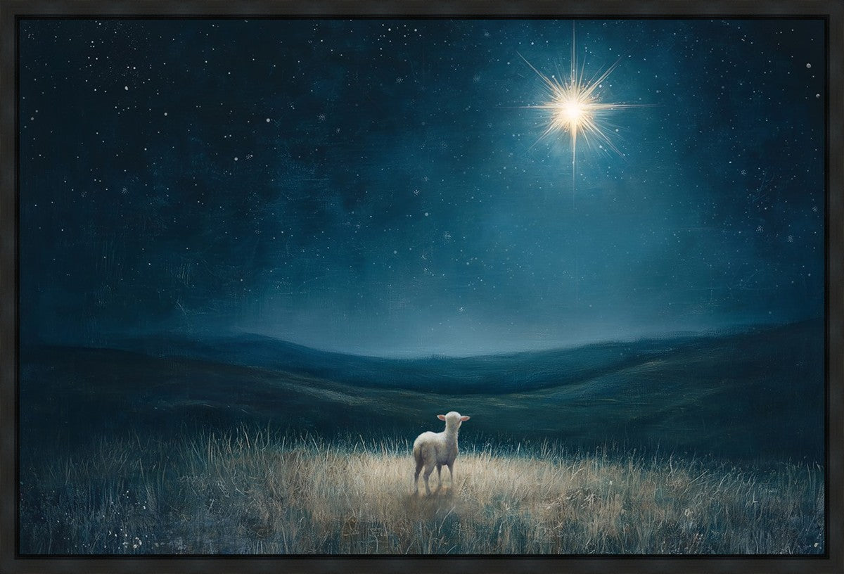 Star of Bethlehem Gallery Wrap