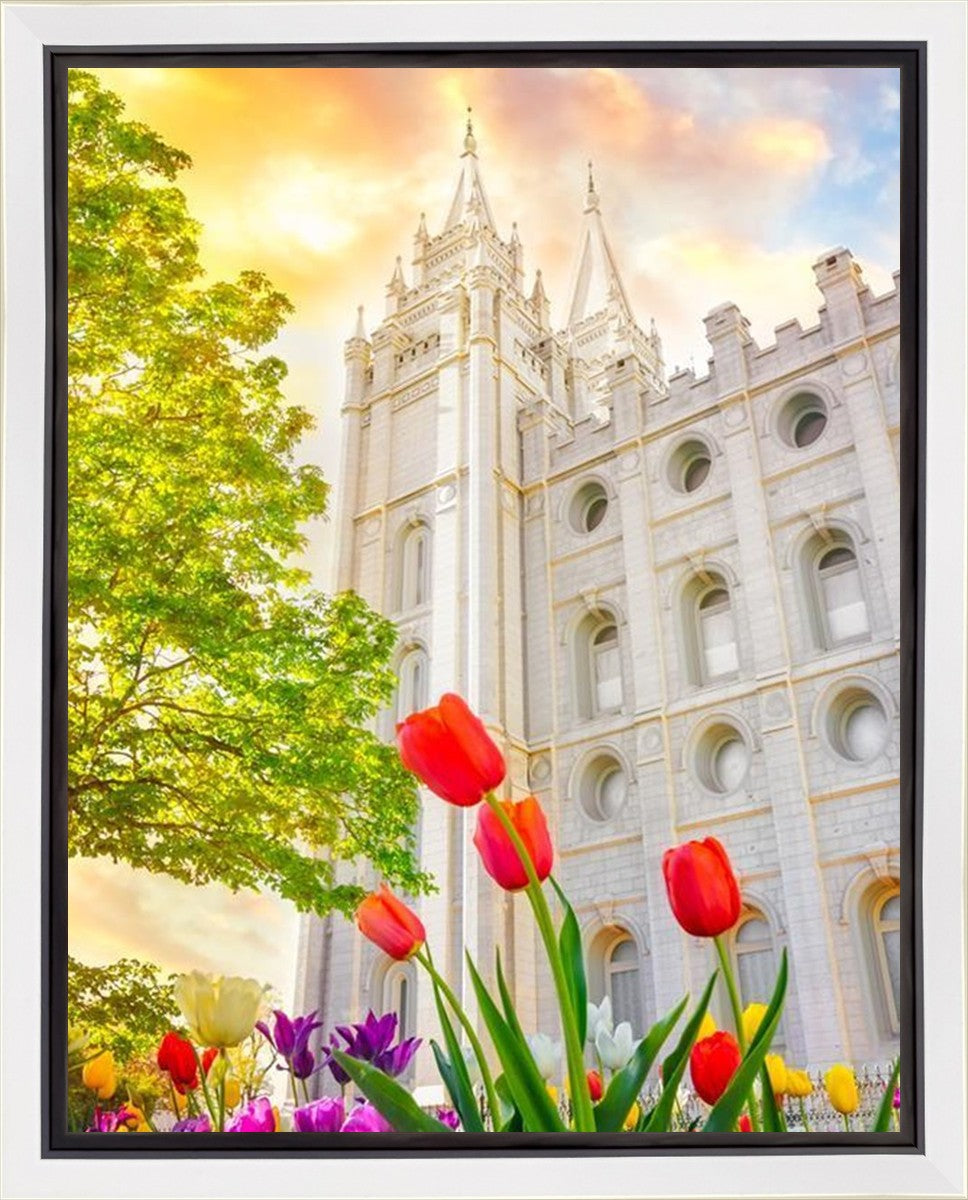 Salt Lake Spring Tulips Gallery Wrap