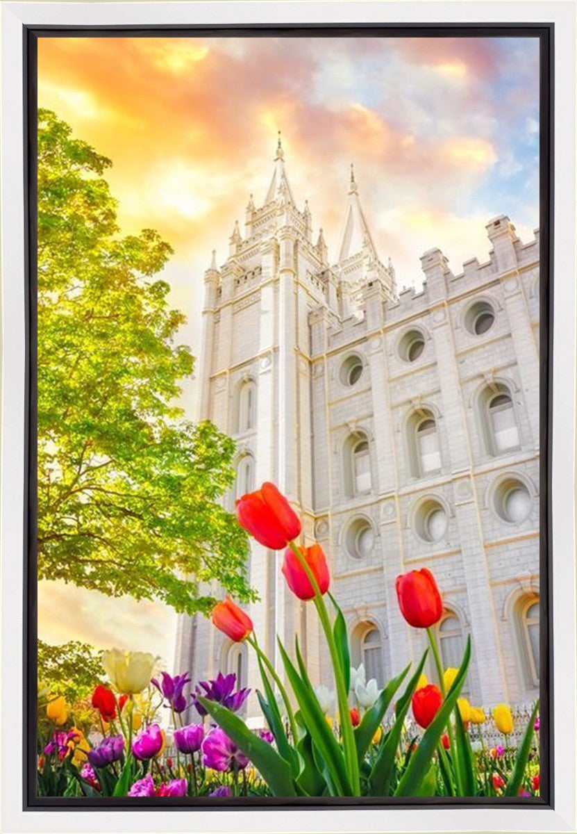 Salt Lake Spring Tulips Gallery Wrap