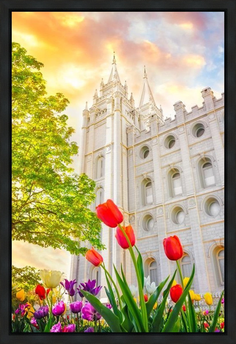 Salt Lake Spring Tulips Gallery Wrap