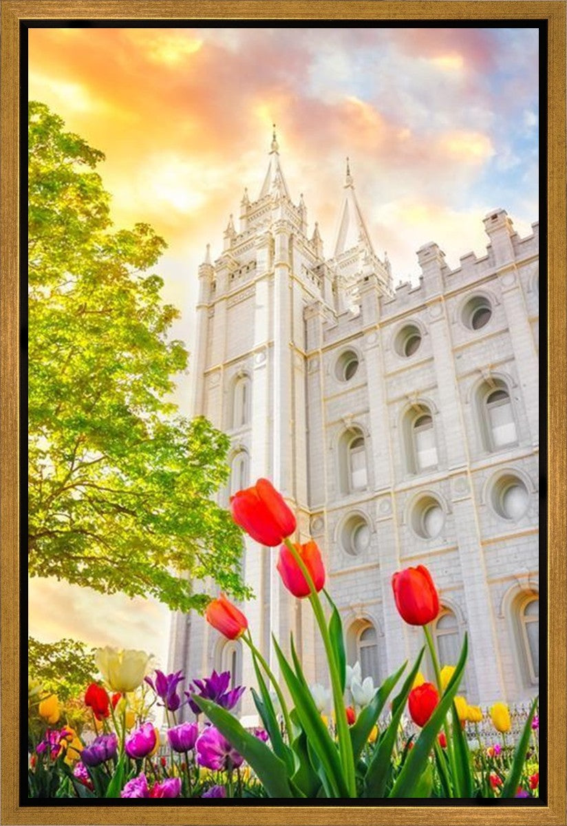 Salt Lake Spring Tulips Gallery Wrap