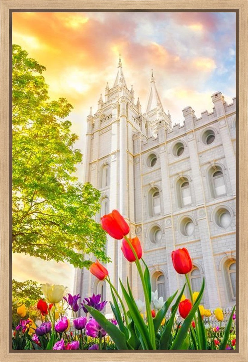 Salt Lake Spring Tulips Gallery Wrap