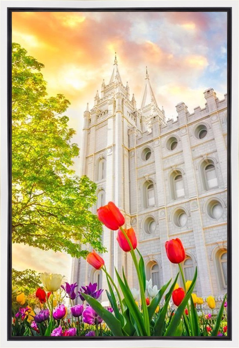 Salt Lake Spring Tulips Gallery Wrap
