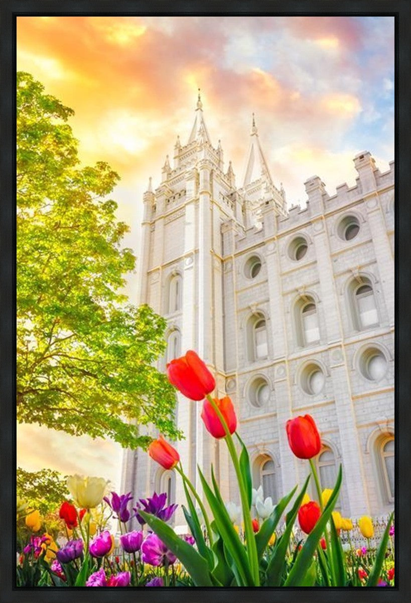 Salt Lake Spring Tulips Gallery Wrap