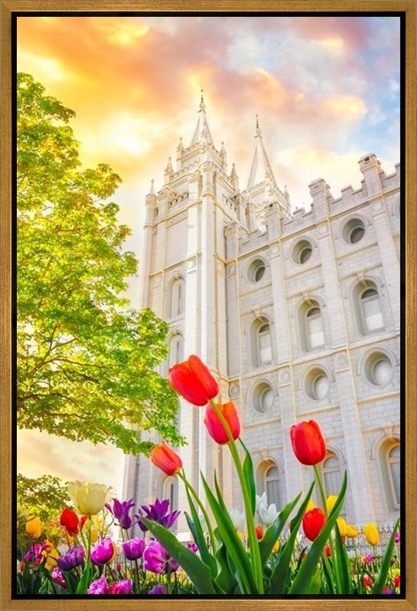 Salt Lake Spring Tulips Gallery Wrap