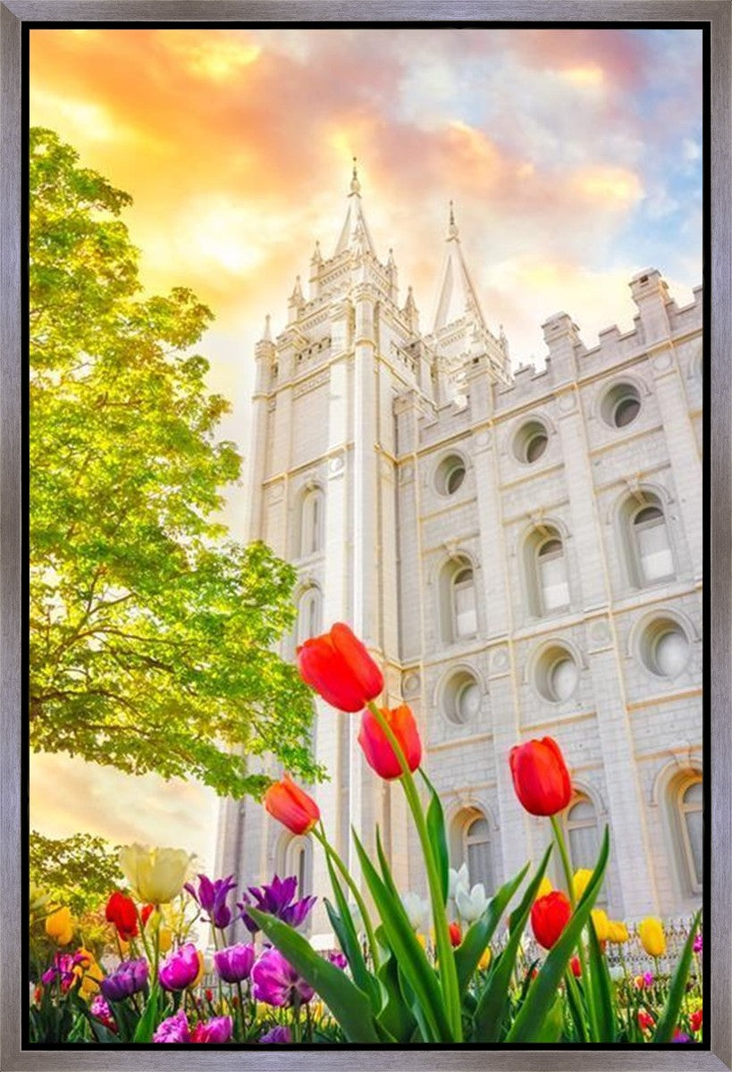 Salt Lake Spring Tulips Gallery Wrap