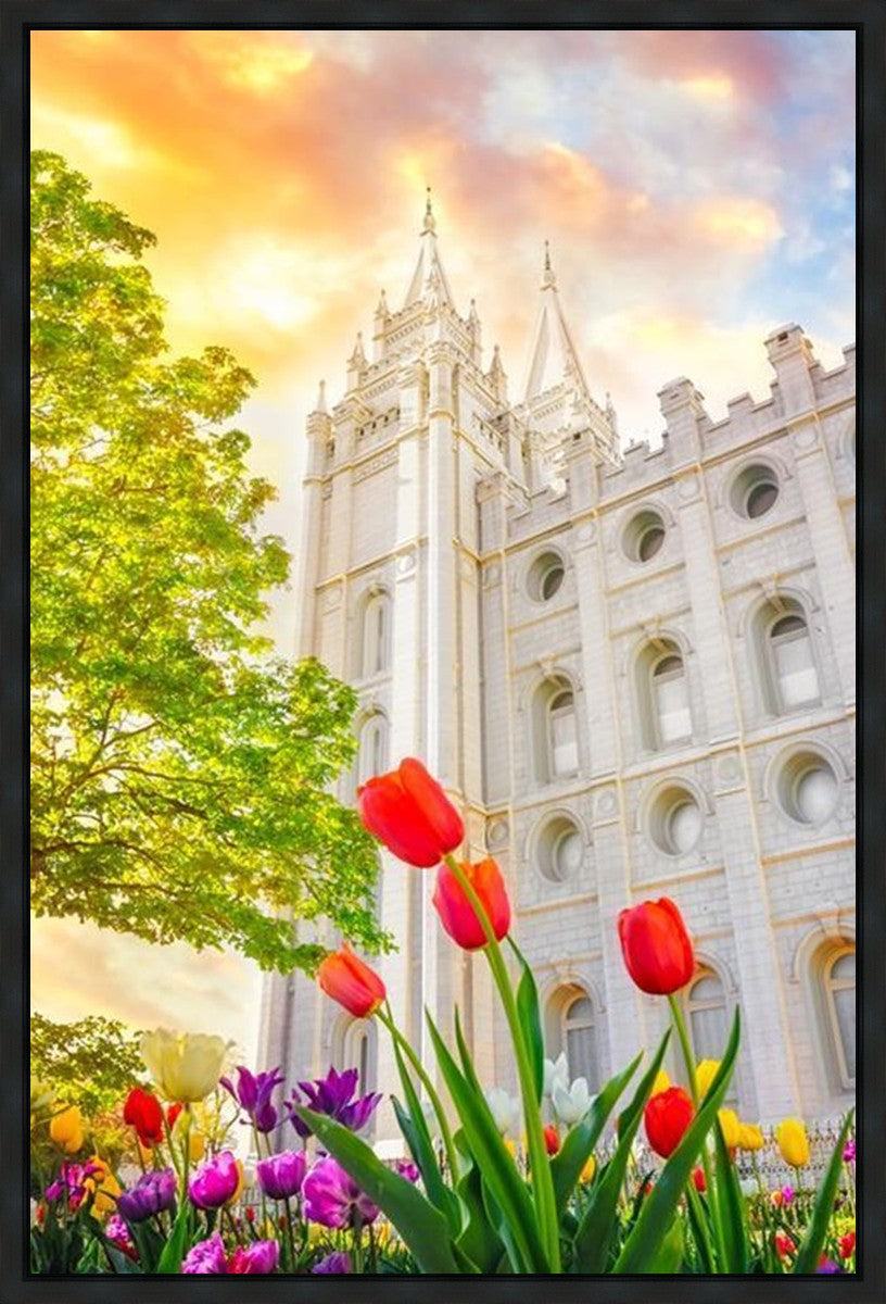 Salt Lake Spring Tulips Gallery Wrap