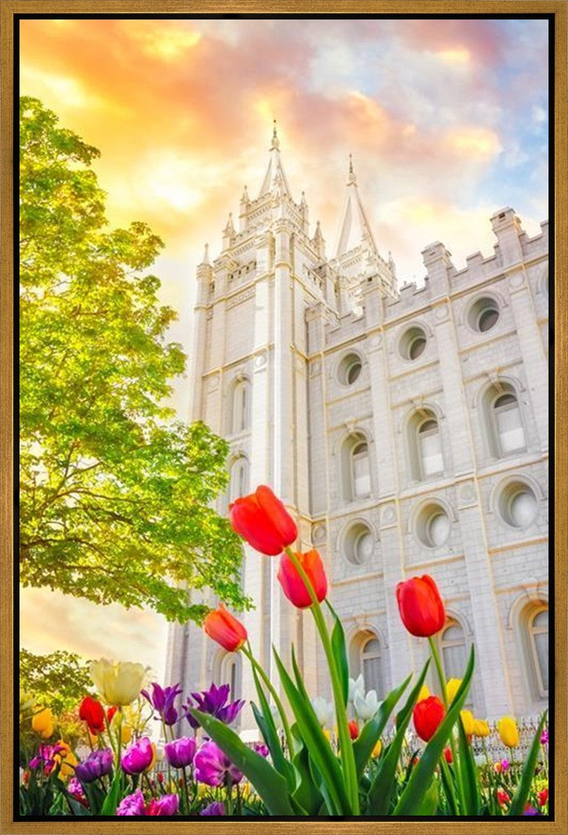 Salt Lake Spring Tulips Gallery Wrap