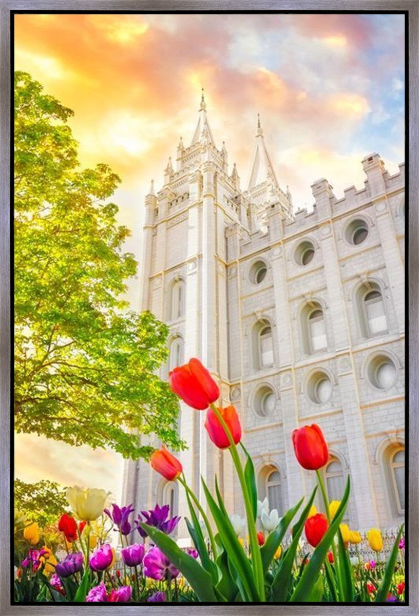 Salt Lake Spring Tulips Gallery Wrap