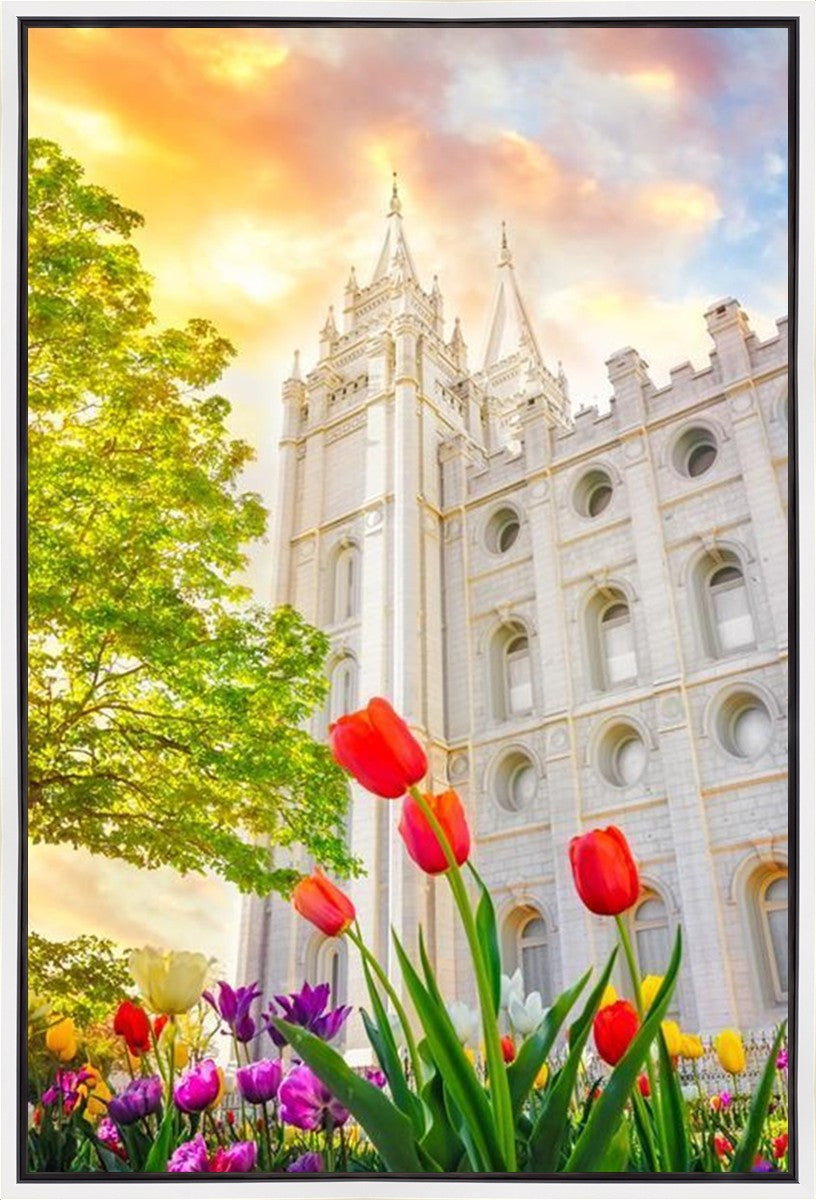 Salt Lake Spring Tulips Gallery Wrap