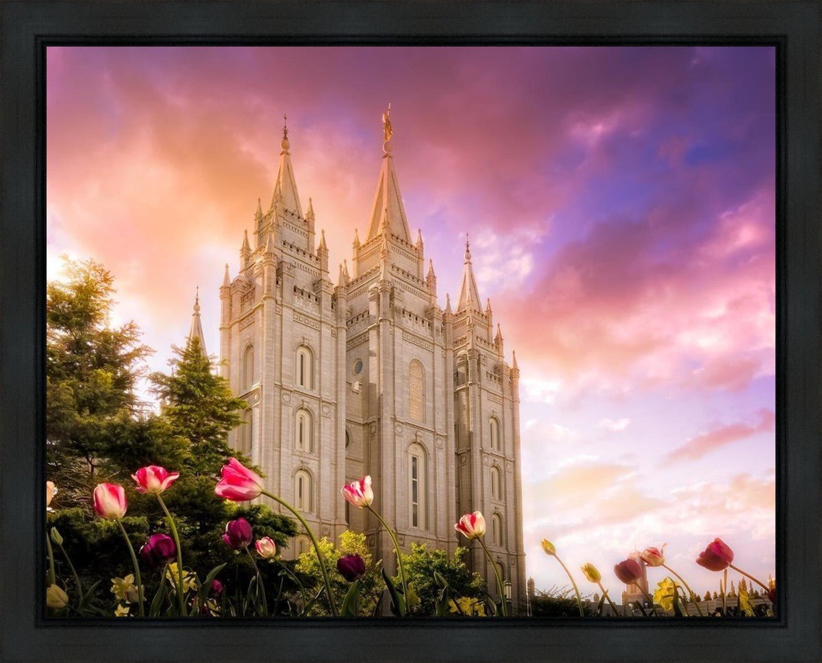 Salt Lake Tulips Gallery Wrap