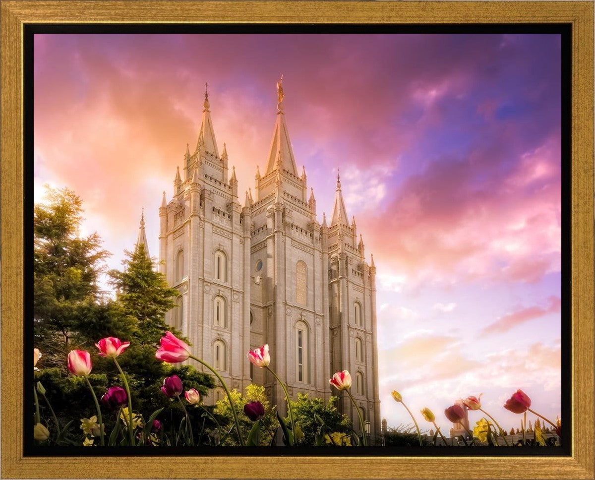 Salt Lake Tulips Gallery Wrap