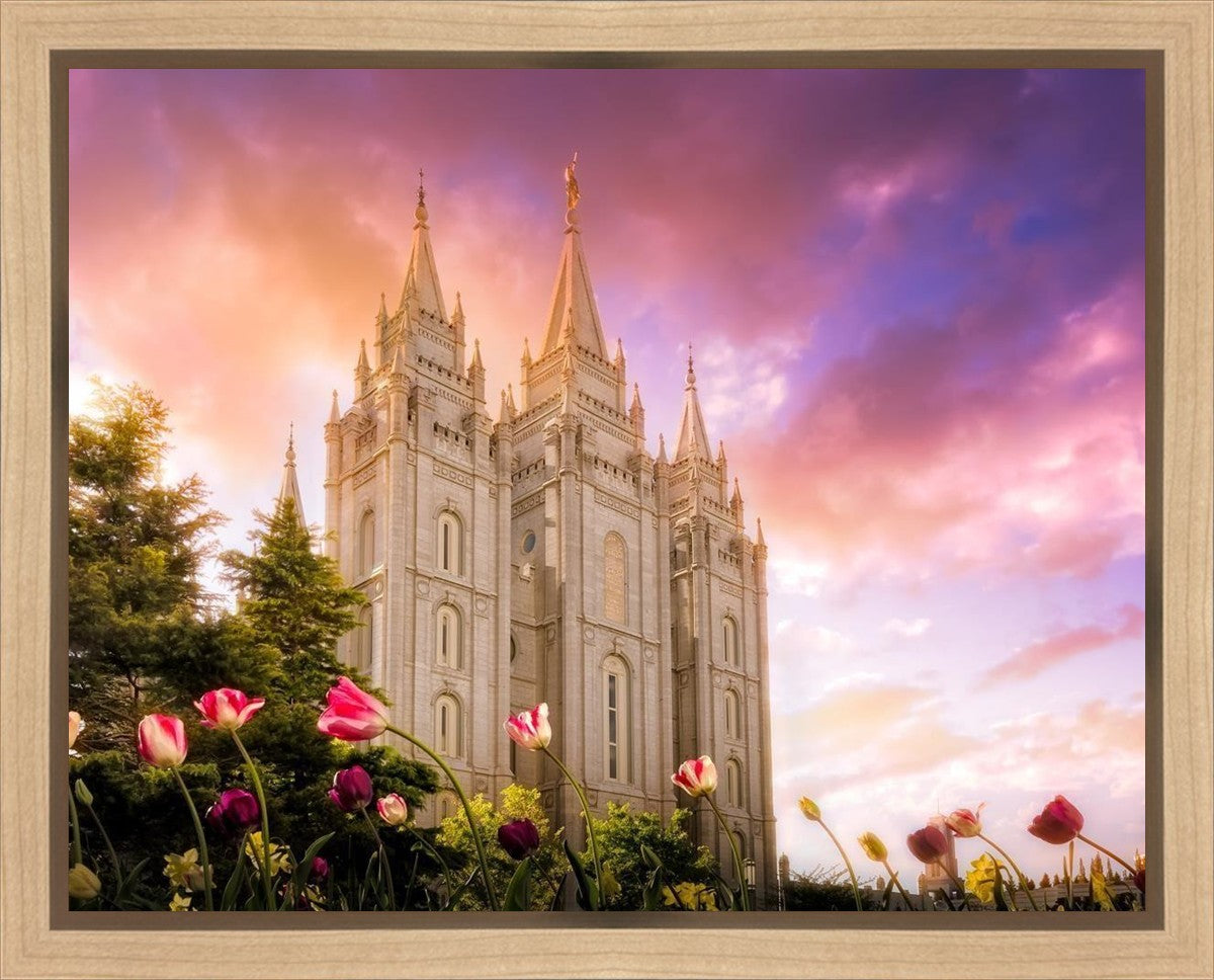 Salt Lake Tulips Gallery Wrap
