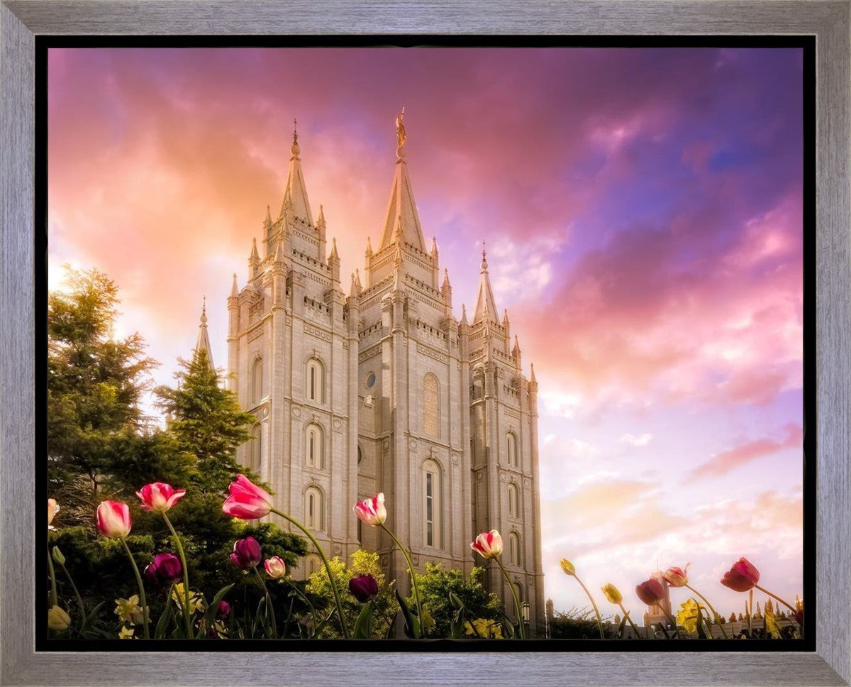 Salt Lake Tulips Gallery Wrap