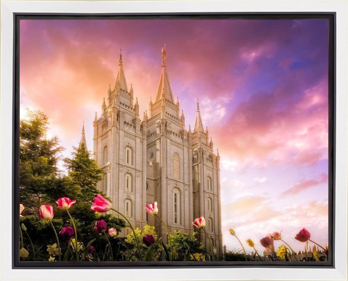 Salt Lake Tulips Gallery Wrap