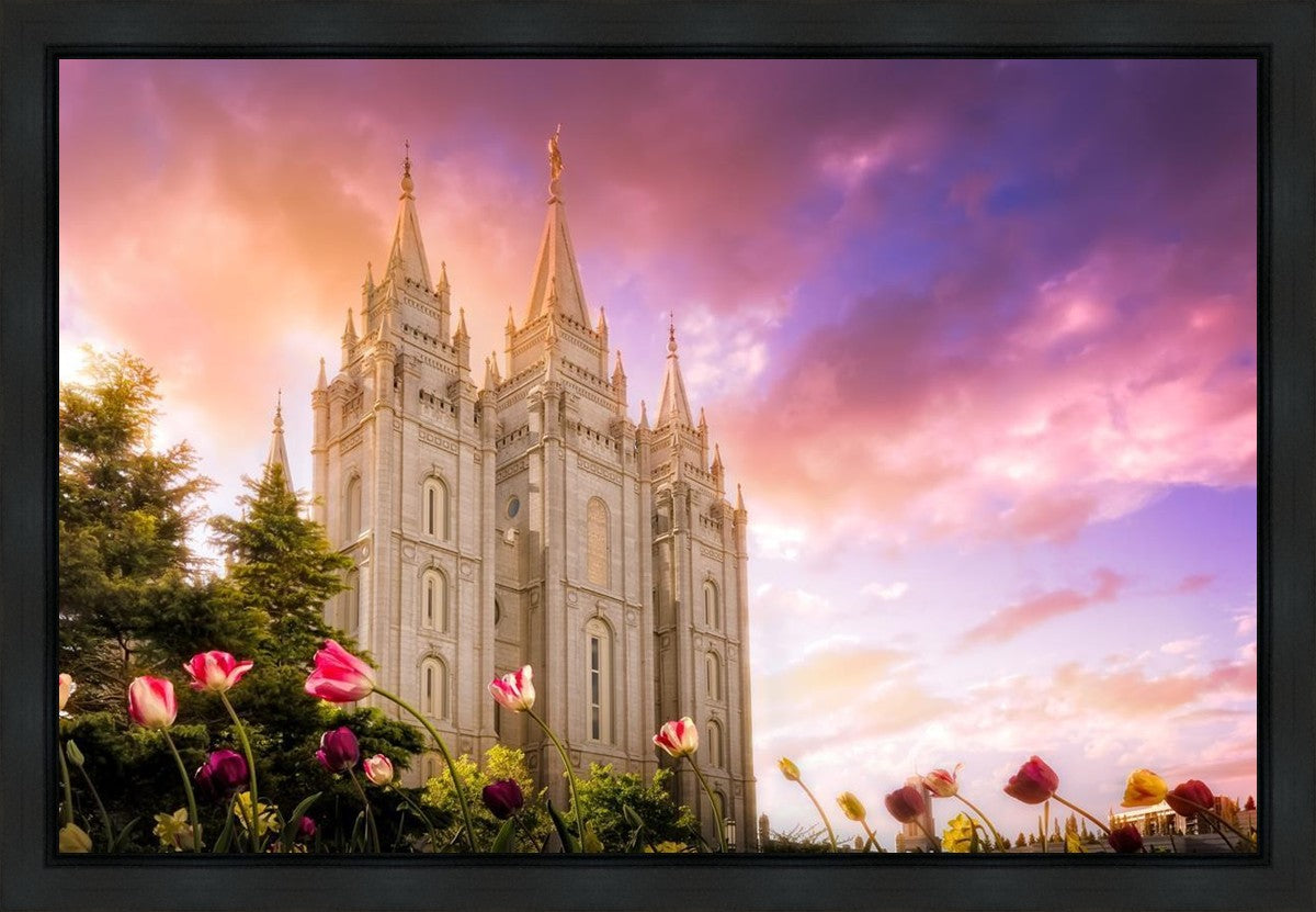Salt Lake Tulips Gallery Wrap