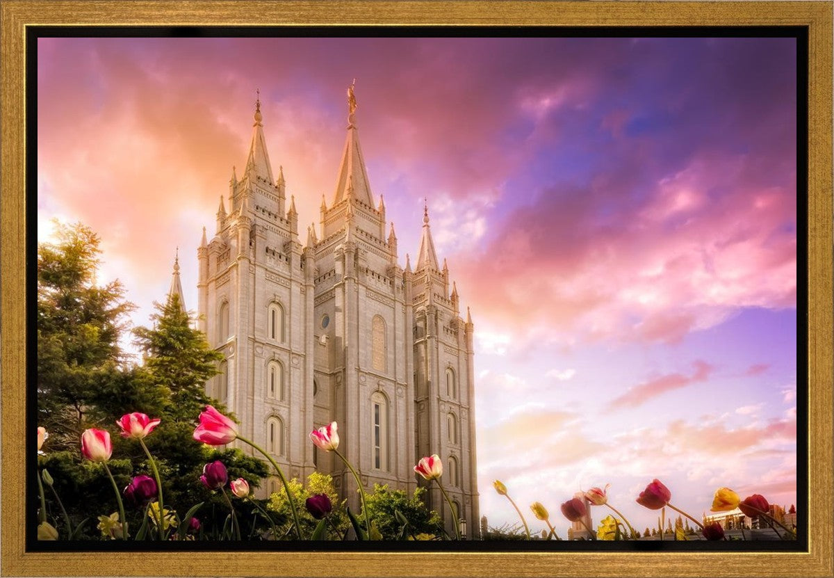 Salt Lake Tulips Gallery Wrap