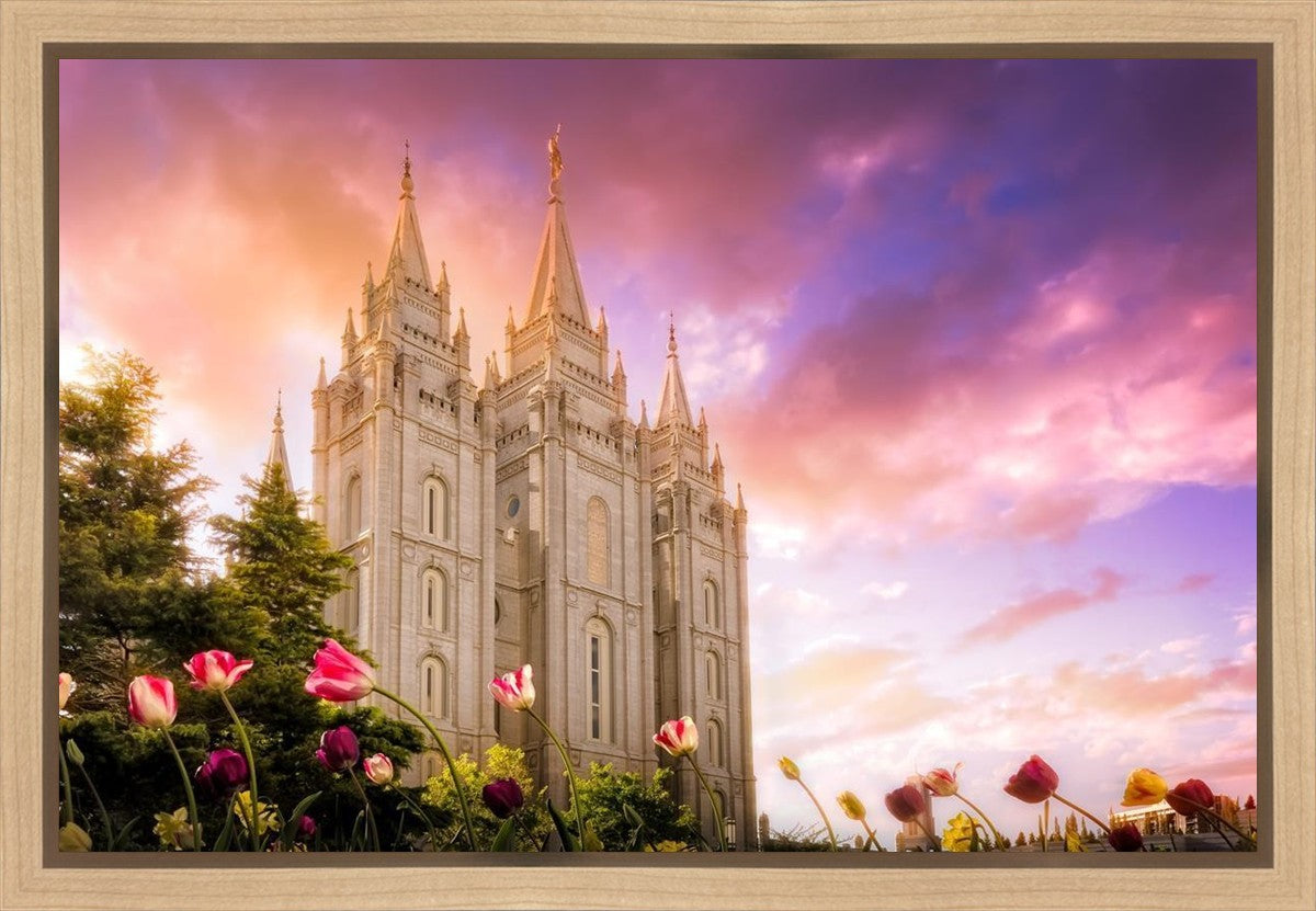 Salt Lake Tulips Gallery Wrap