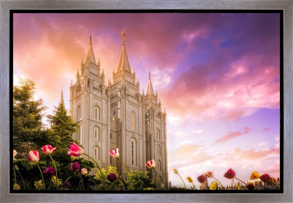 Salt Lake Tulips Gallery Wrap