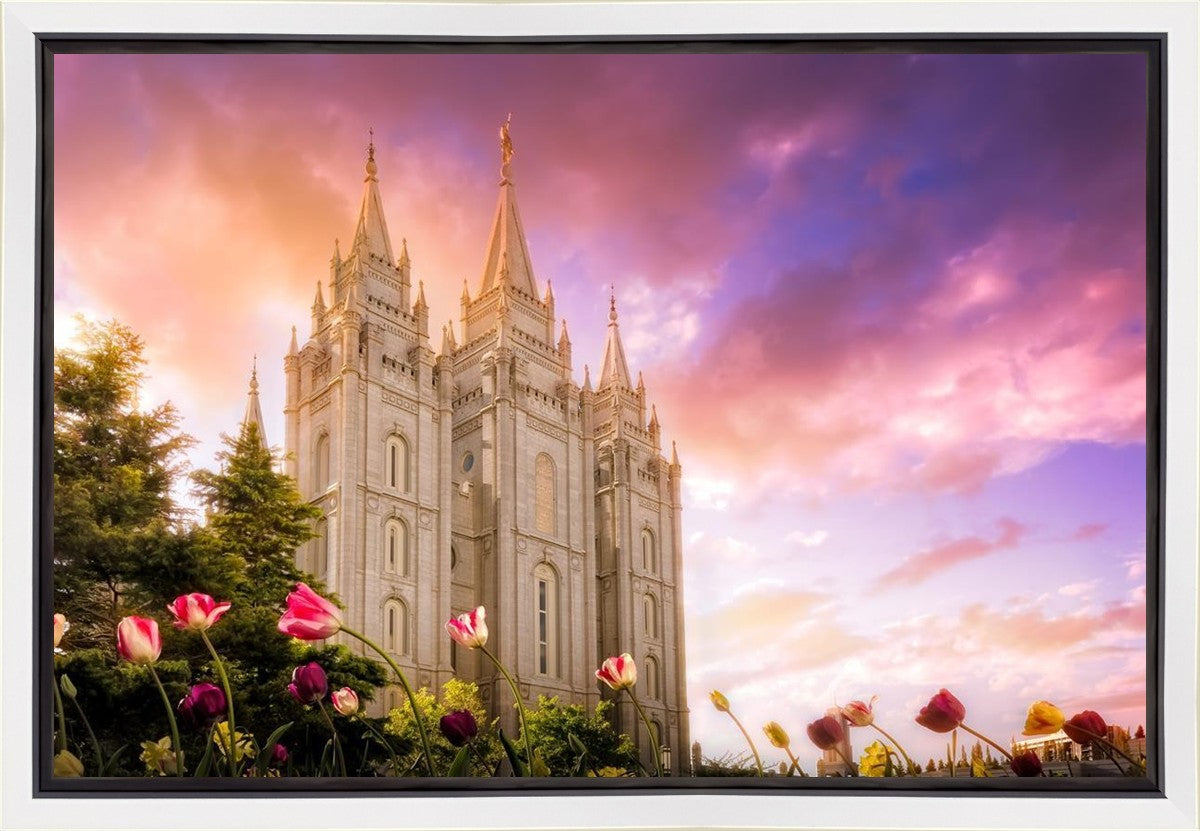 Salt Lake Tulips Gallery Wrap