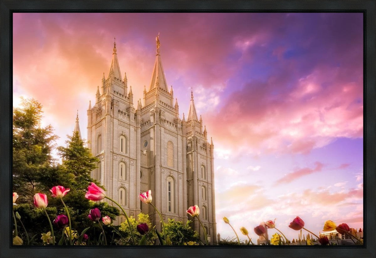 Salt Lake Tulips Gallery Wrap